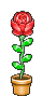 Blume JellyBean (rot) erhalten.gif