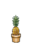Ananas sehr groß normal genährt.png