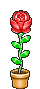 Channelgrafik - Smileyfeature Morph Rose (Sonnenblume).gif