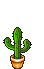 Weltreise Cactus Fail.gif